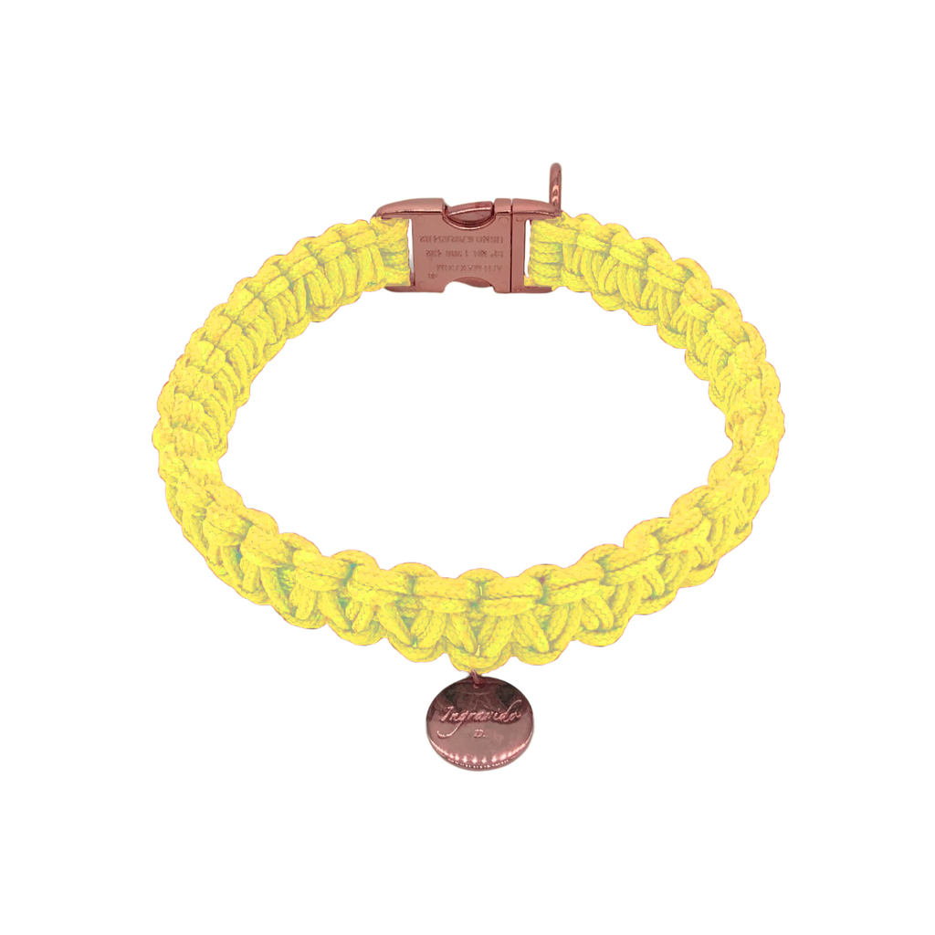 002 gelb rosegold stabil Halsband handmade handgemacht paracord kreuzknoten vegan ingravido hanstedt online shop fuer Hundezubehoer Hundeladen