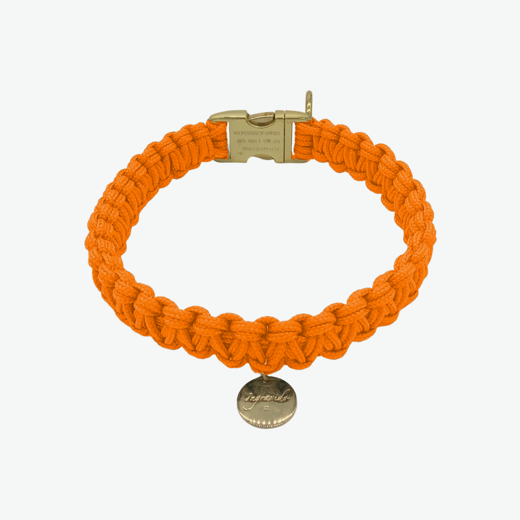 003 orange gold stabil Halsband handmade handgemacht paracord kreuzknoten vegan ingravido hanstedt online shop fuer Hundezubehoer Hundeladen