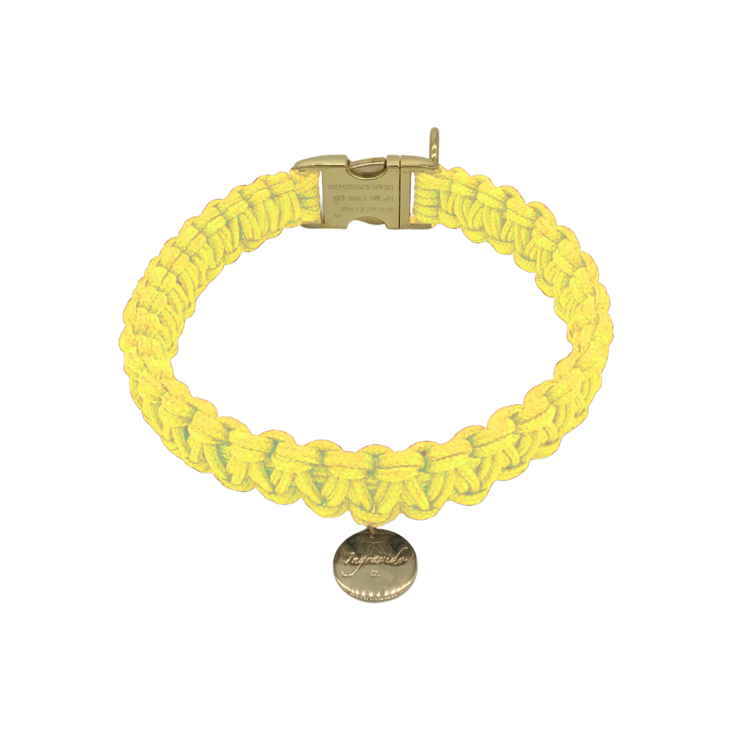 002 gelb gold stabil Halsband handmade handgemacht paracord kreuzknoten vegan ingravido hanstedt online shop fuer Hundezubehoer Hundeladen