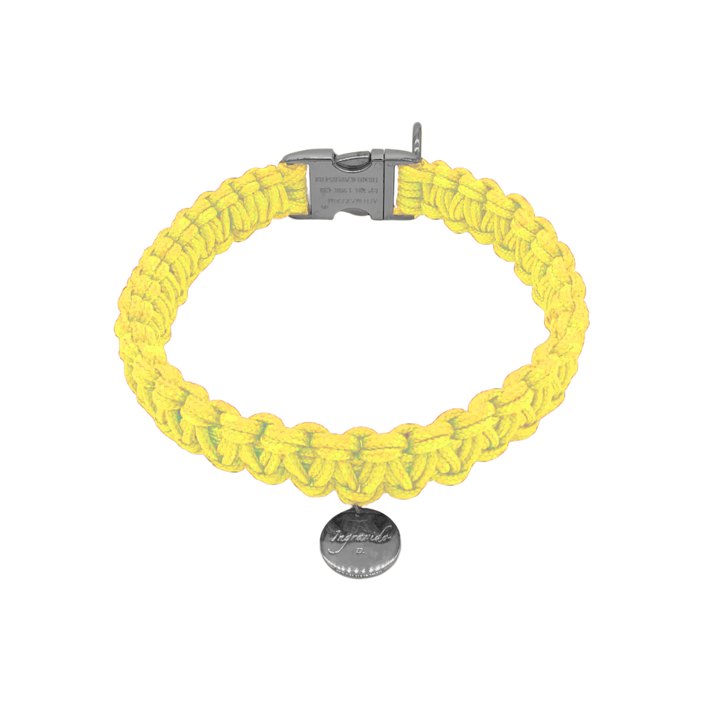 002 gelb silber stabil Halsband handmade handgemacht paracord kreuzknoten vegan ingravido hanstedt online shop fuer Hundezubehoer Hundeladen