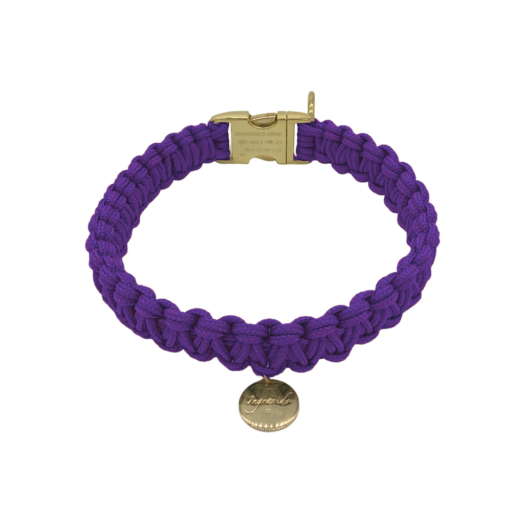 009 violett lila gold stabil Halsband  handmade handgemacht paracord kreuzknoten vegan ingravido hanstedt online shop fuer Hundezubehoer Hundeladen